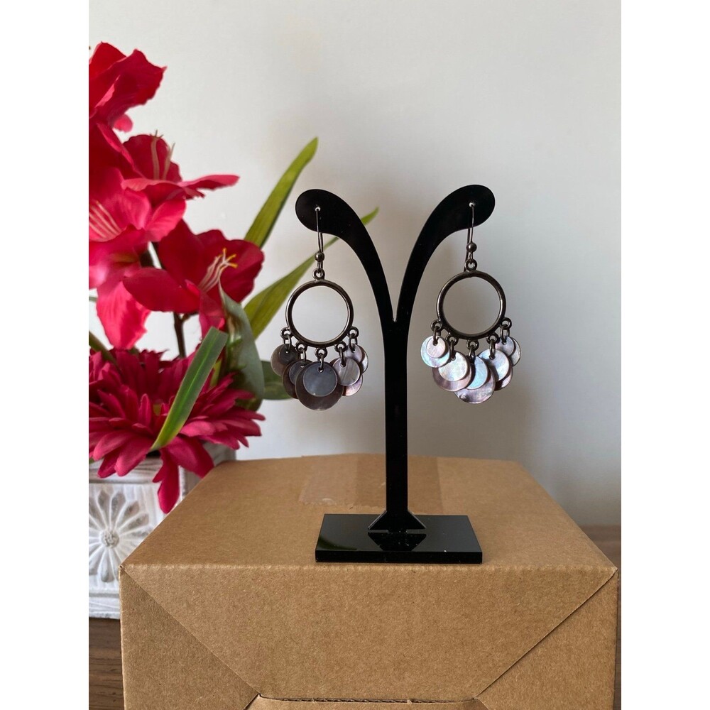 Earrings #164